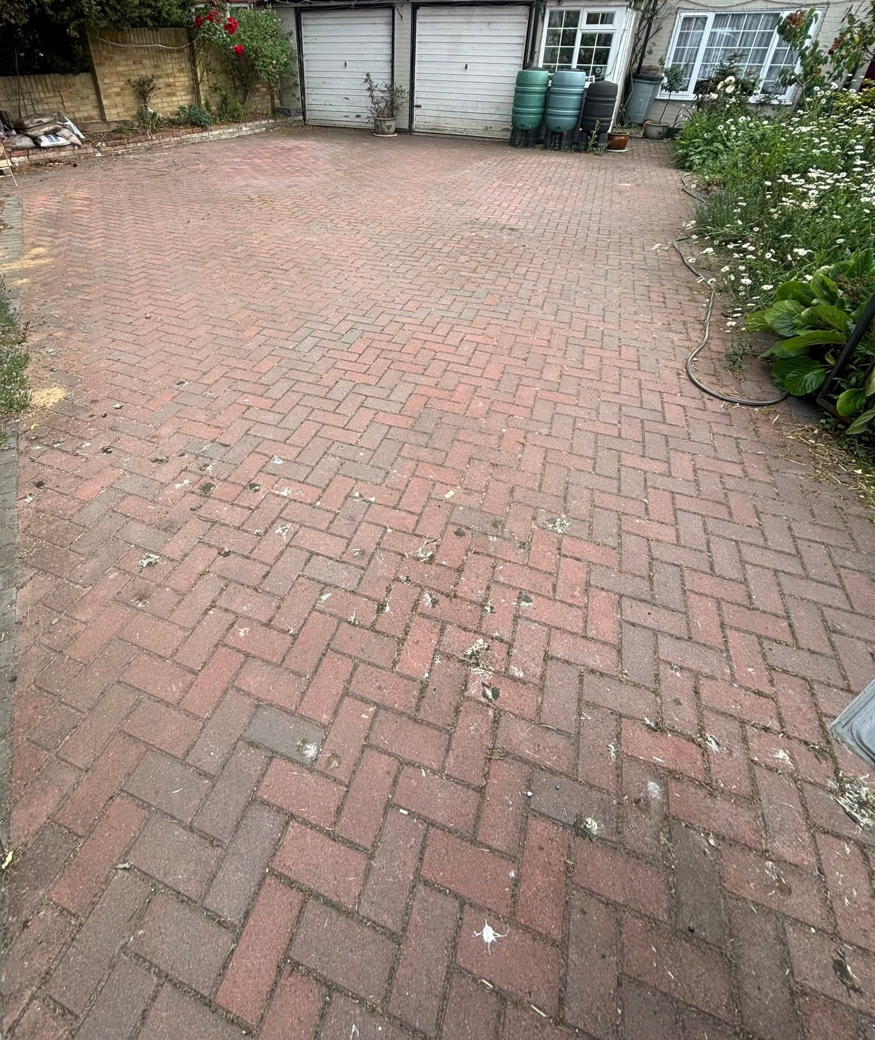 Patio before cleaning — moss and algae build-up