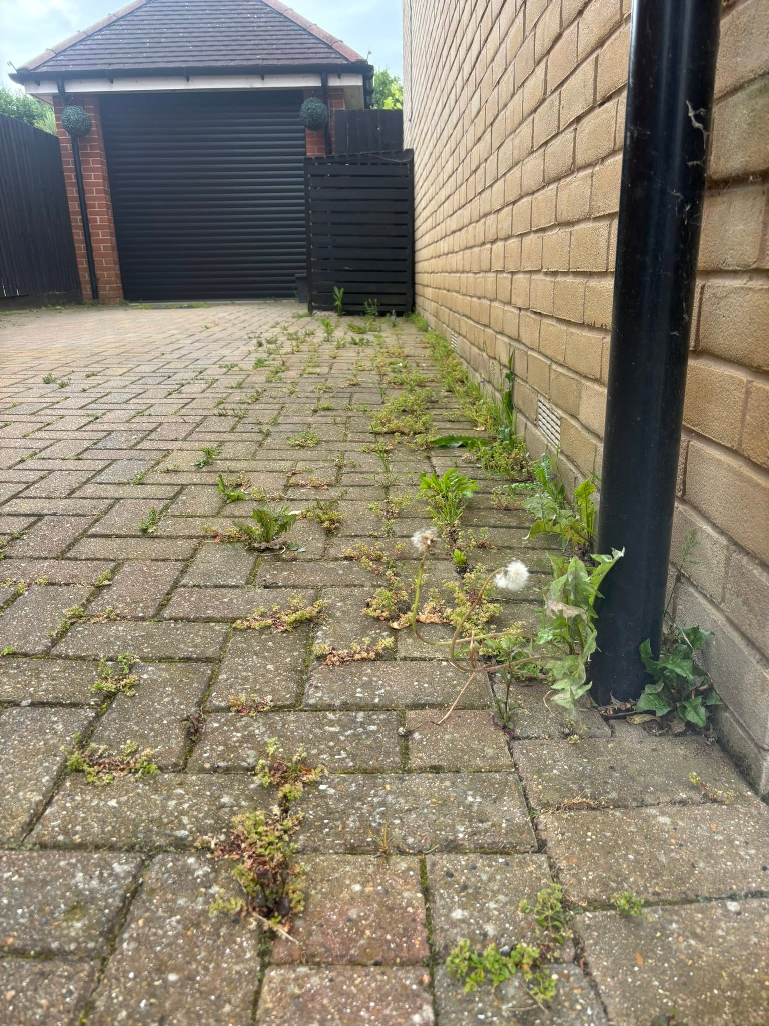 Patio before cleaning — moss and algae build-up
