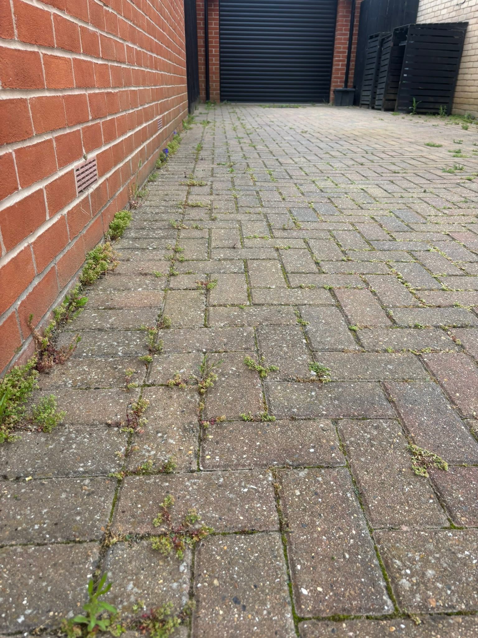 Patio before cleaning — moss and algae build-up